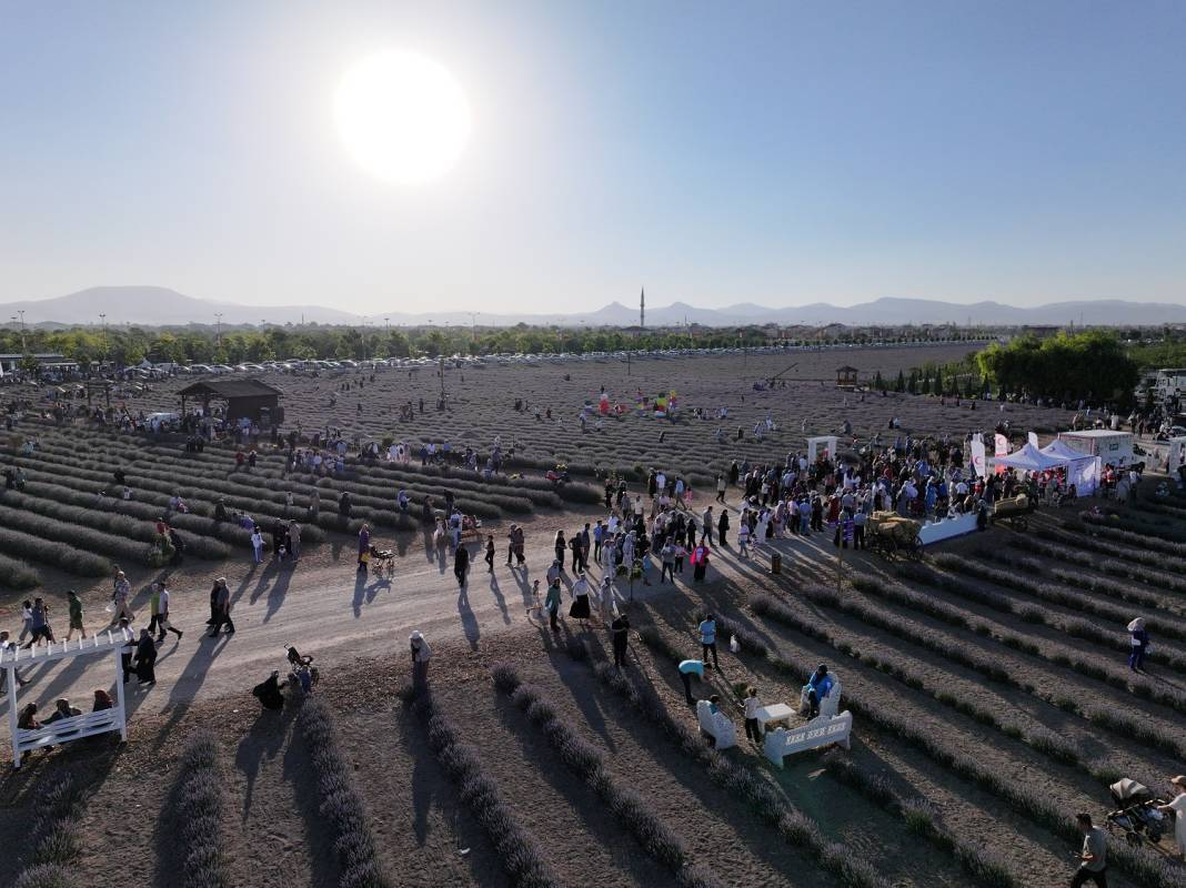 Konya’da lavanta büyüsü! Türkiye’nin en büyüğü dünyadan ziyaretçi ağırlıyor 3